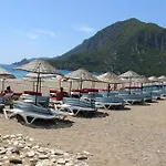 Zambak * Çıralı