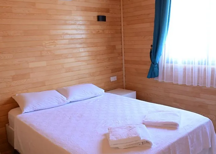 Zambak Сasa de vacaciones *